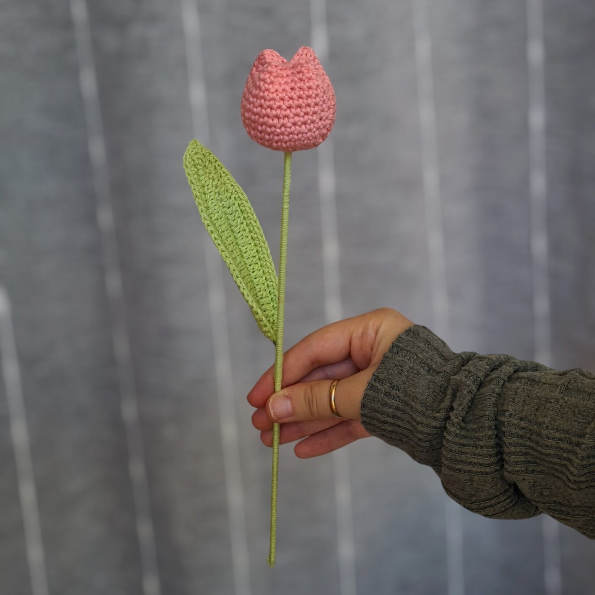 Tulipán - 4