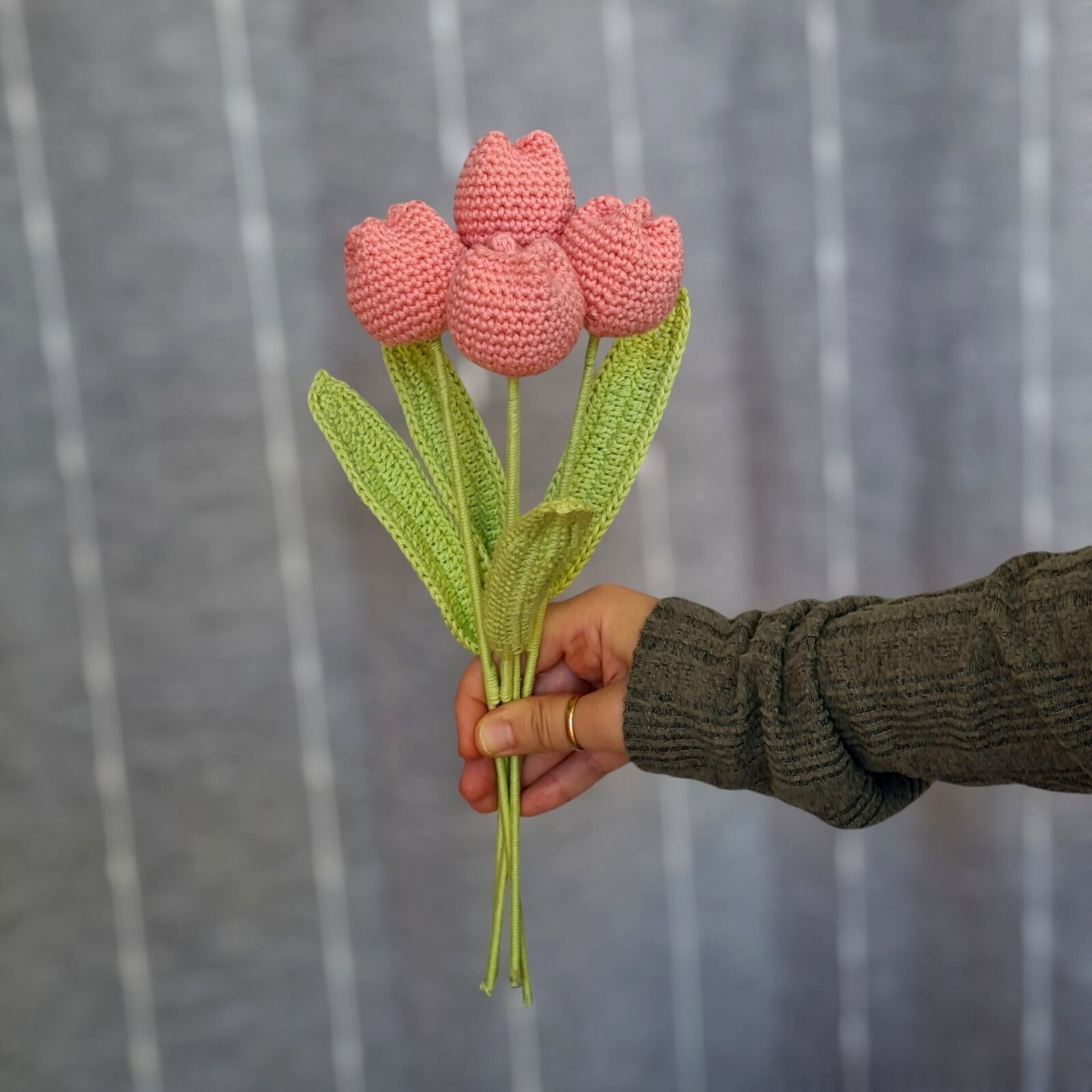 Tulipán - 5