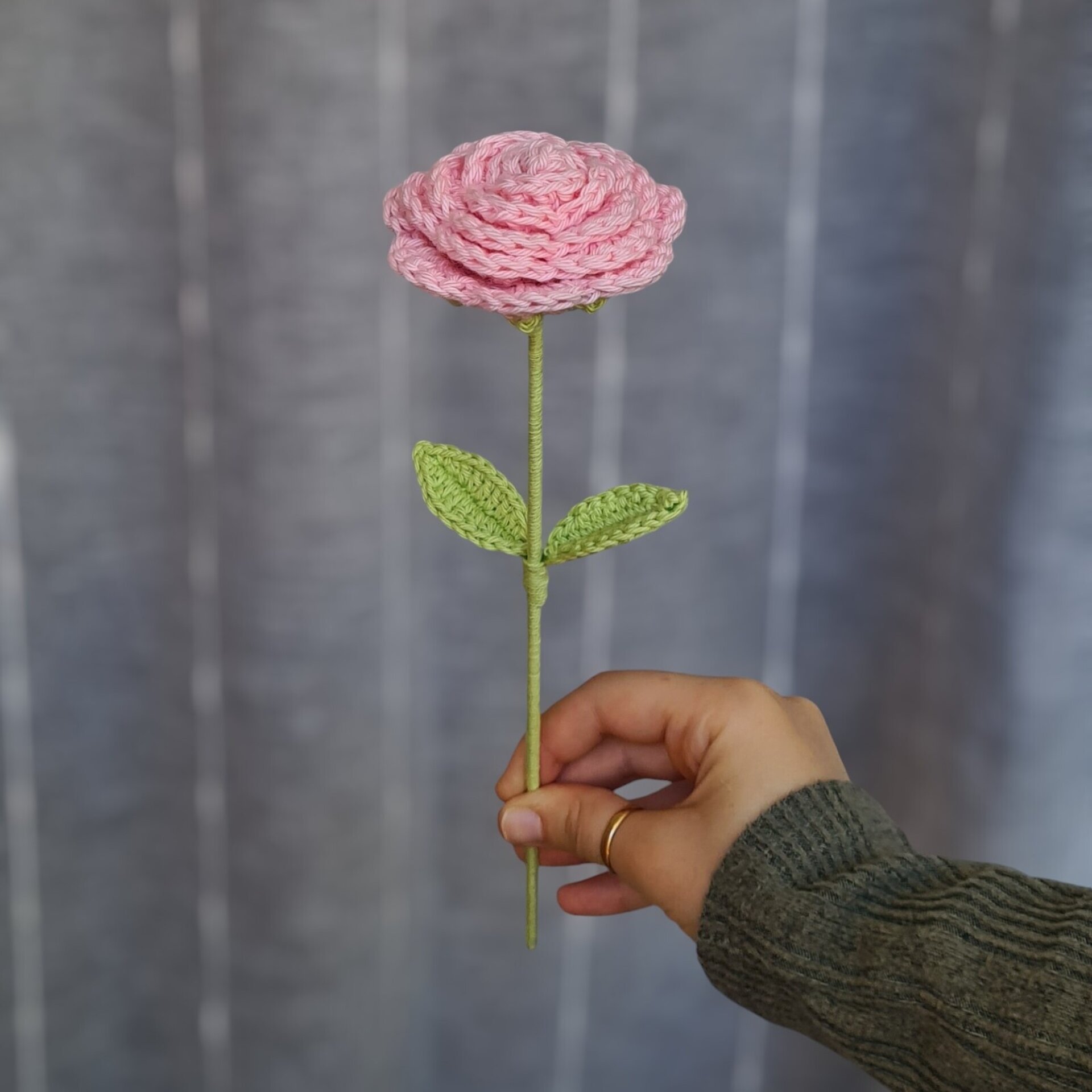 Rosas - 3