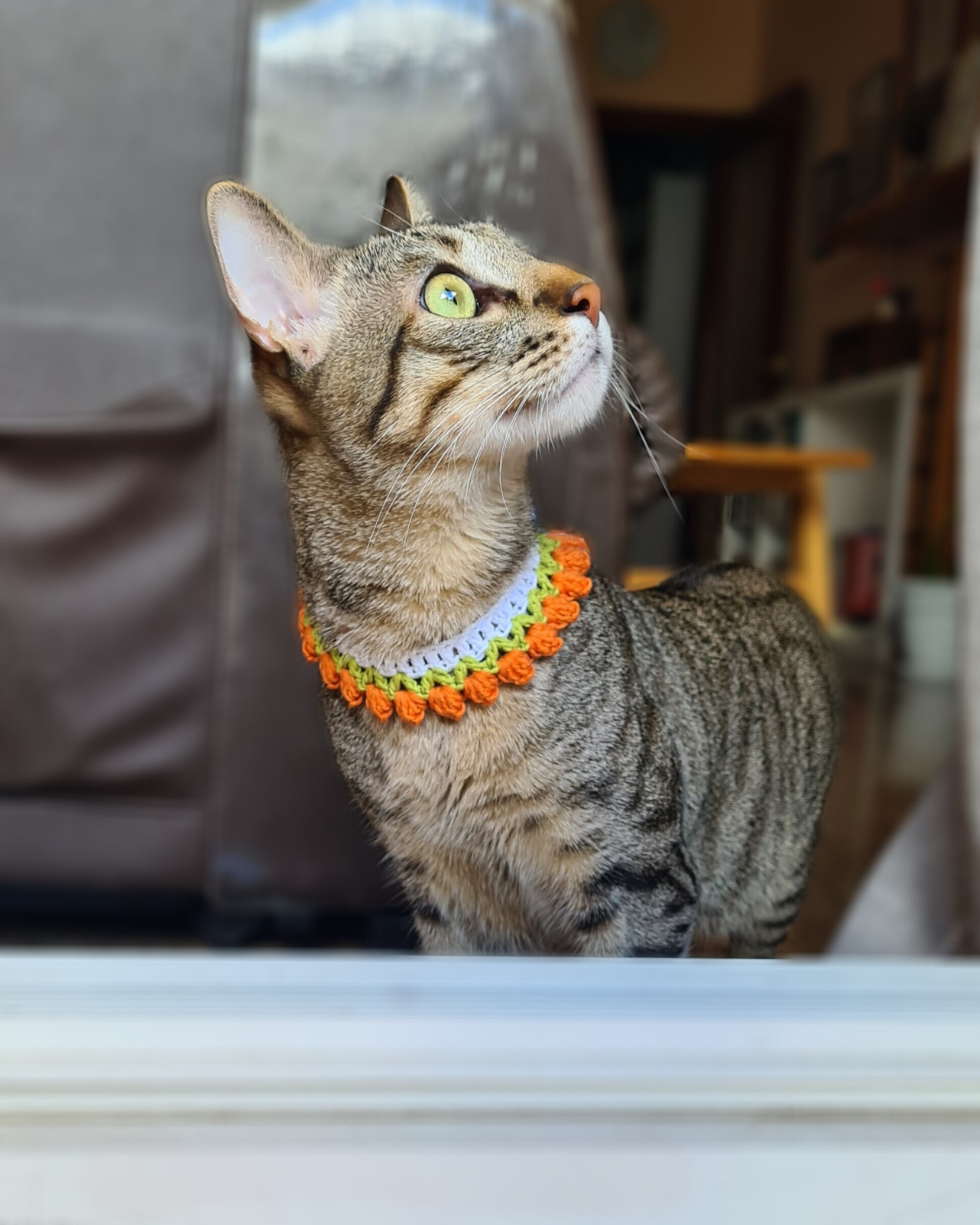 Tulipanes- collar para gatitos - 5