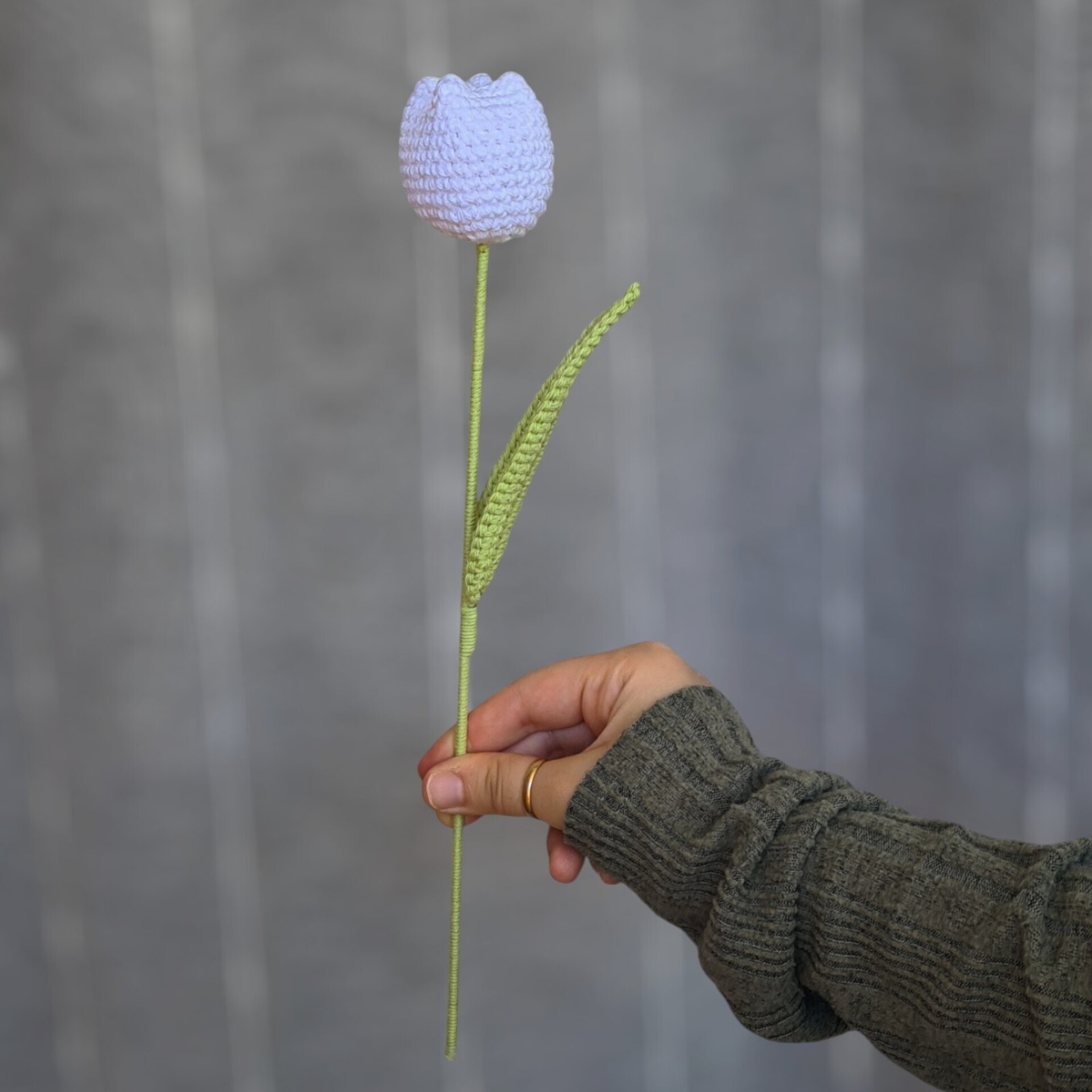 Tulipán - 2