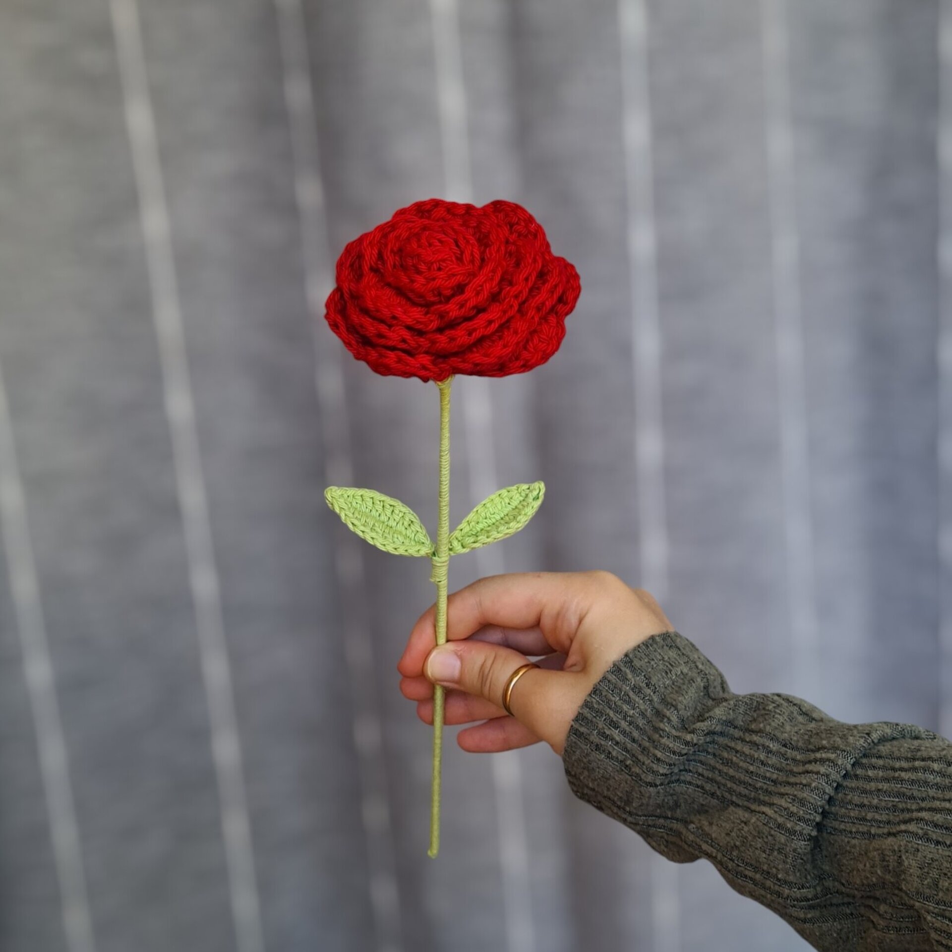 Rosas - 2