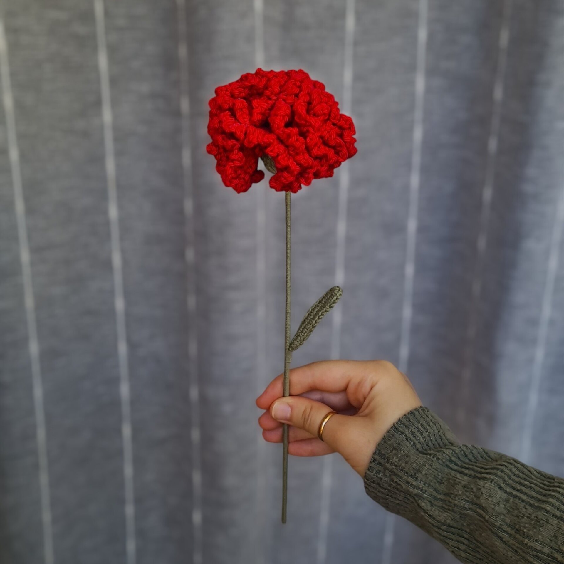Clavel - 4