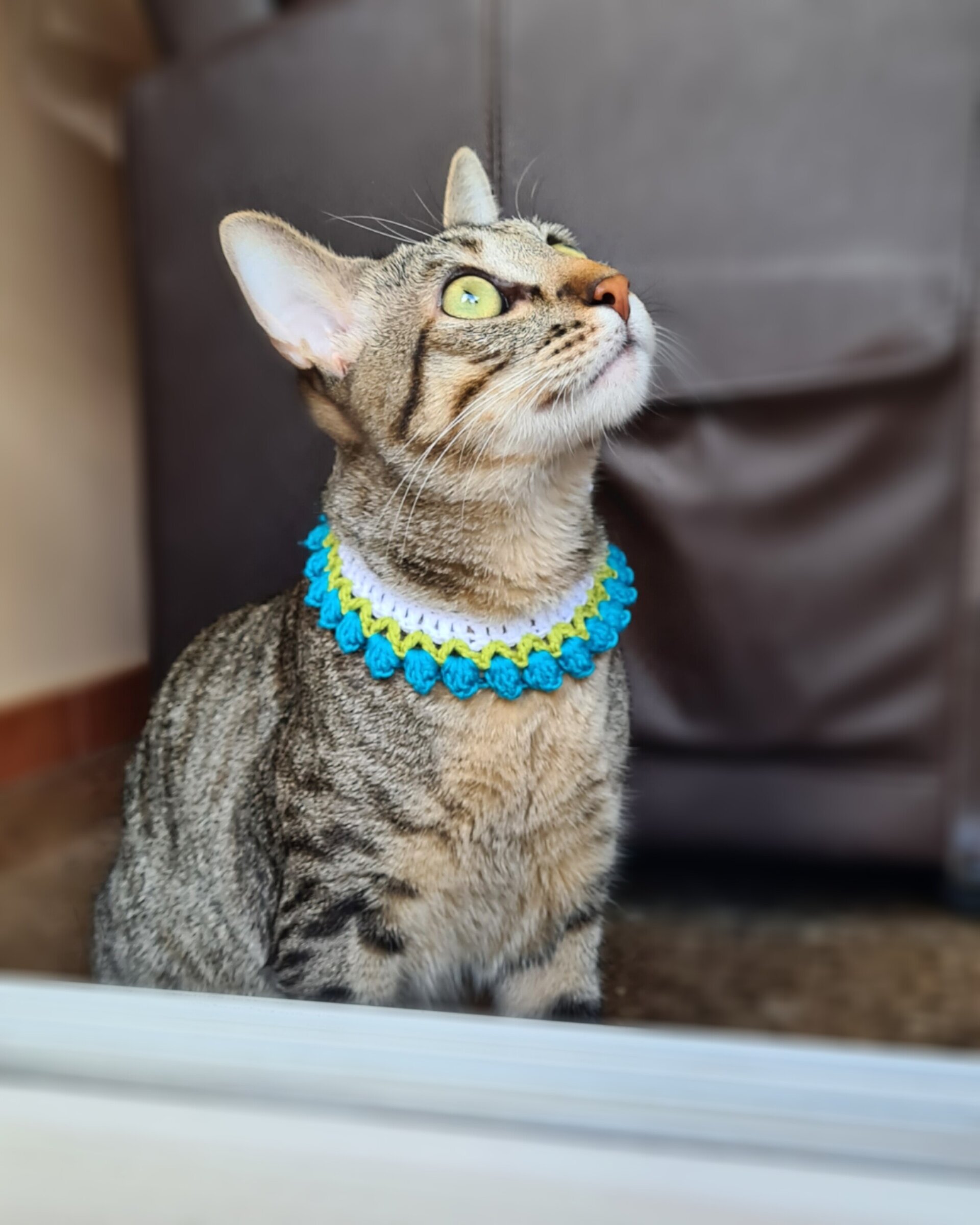Tulipanes- collar para gatitos - 9