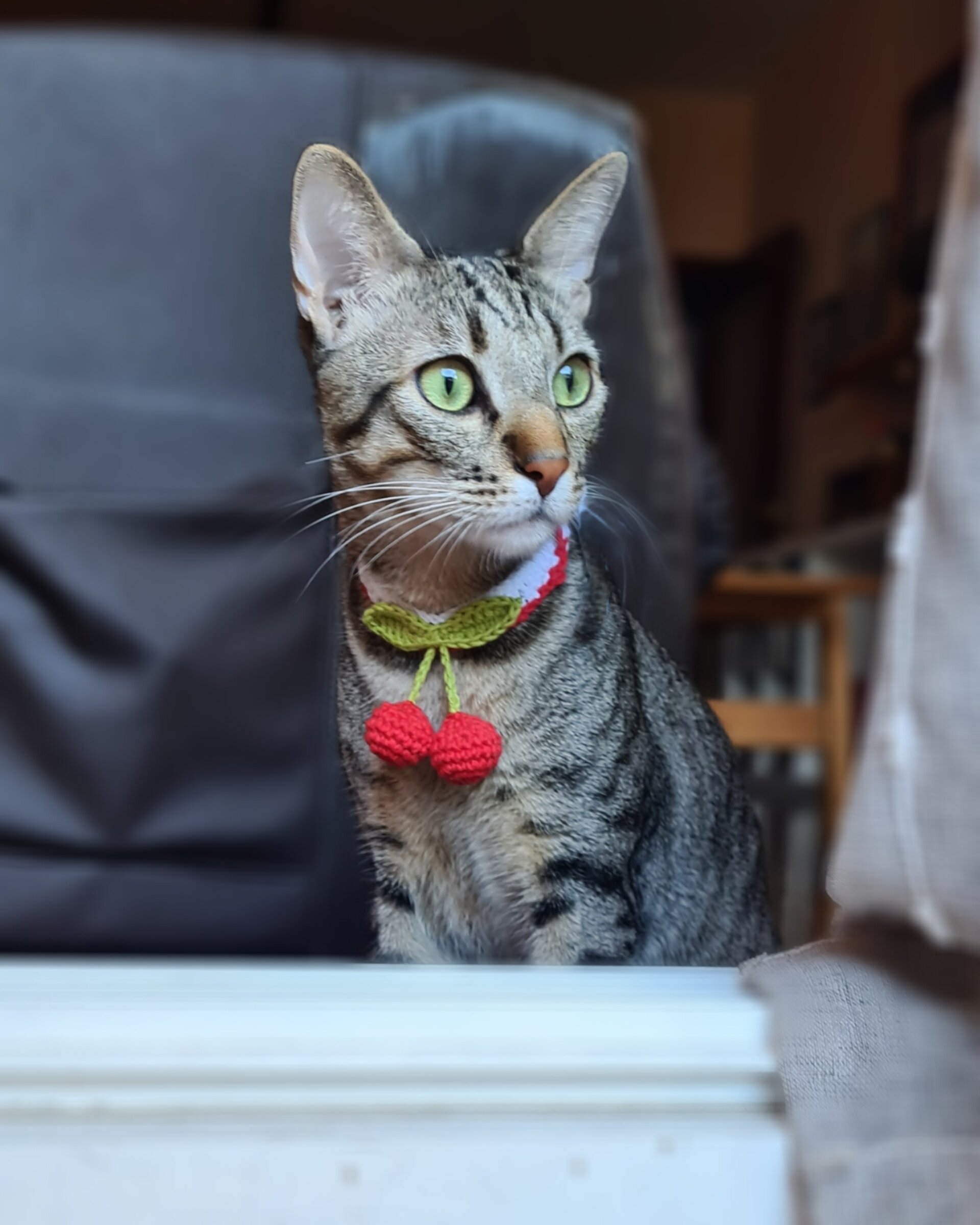 Cerezas- collar para gatitos - 2