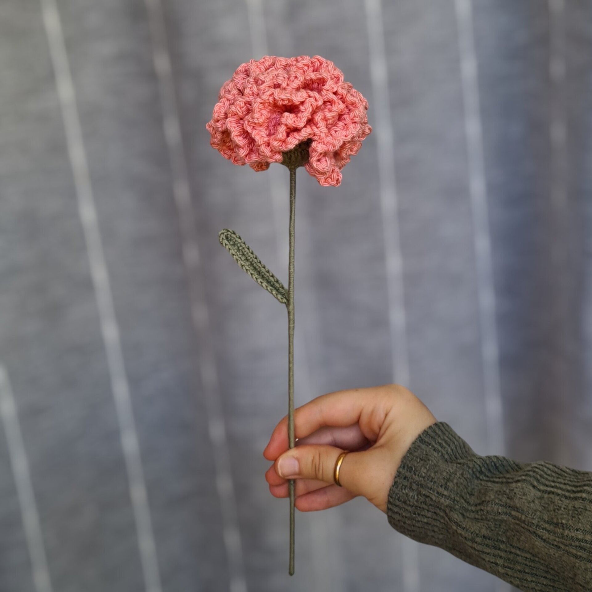 Clavel - 5