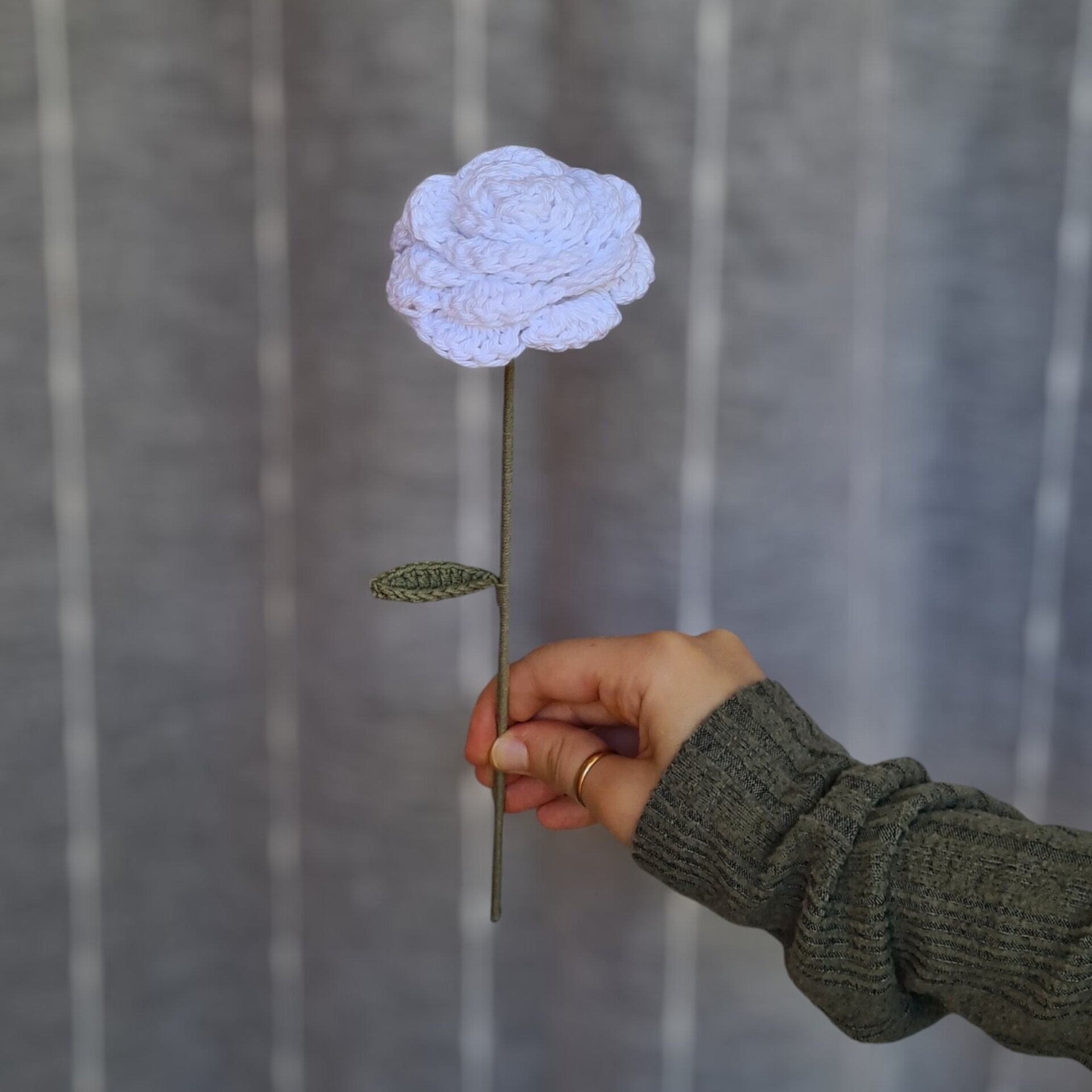 Rosas - 4
