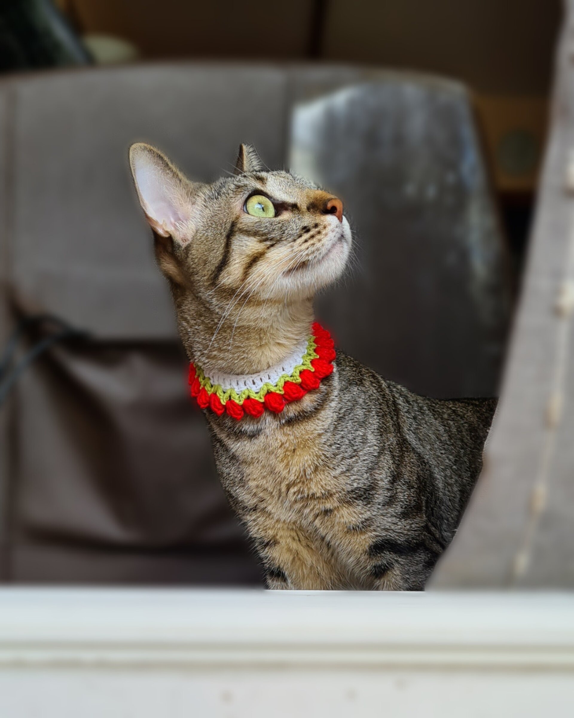 Tulipanes- collar para gatitos - 3