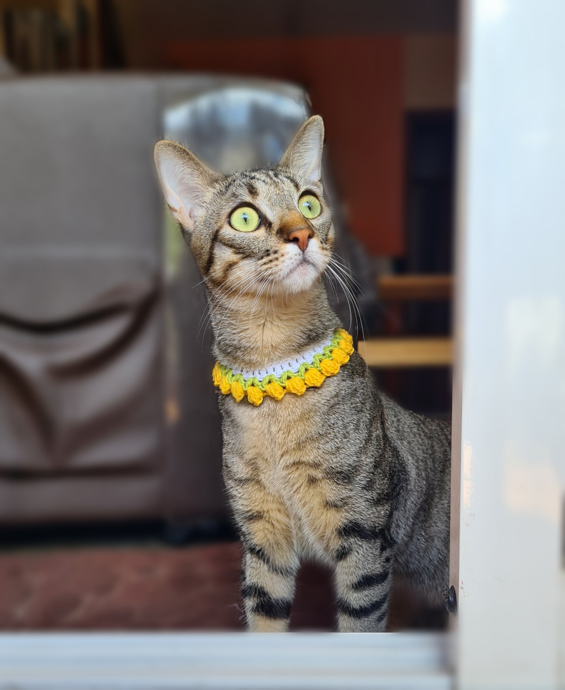 Tulipanes- collar para gatitos - 7